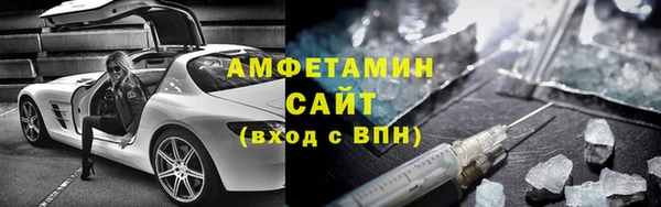 шишки Осинники