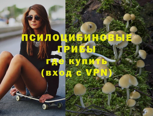 шишки Осинники
