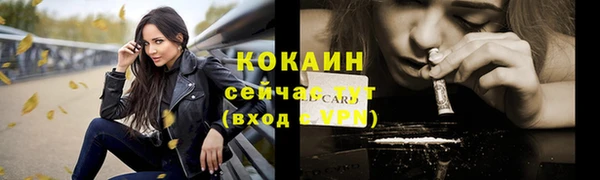 шишки Осинники