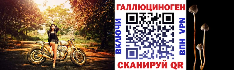OMG   закладка  Каневская  Галлюциногенные грибы Cubensis 